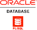 Oracle Database